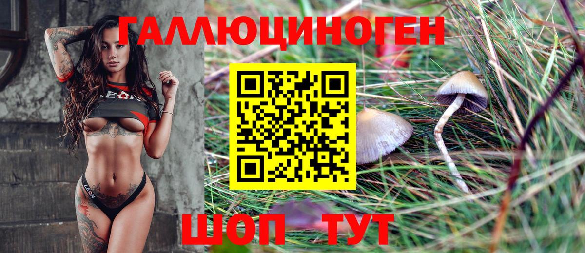 Галлюциногенные грибы мицелий  Вход с VPN  Алапаевск 